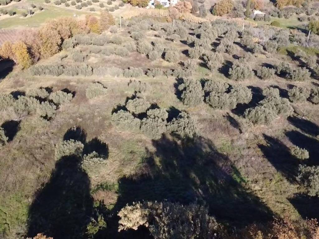Villa a Paglieta in contrada ranco, 55 - Foto 5