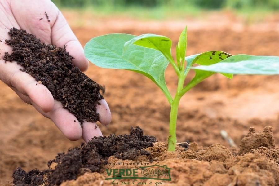 Terreno a Altivole - Foto 2