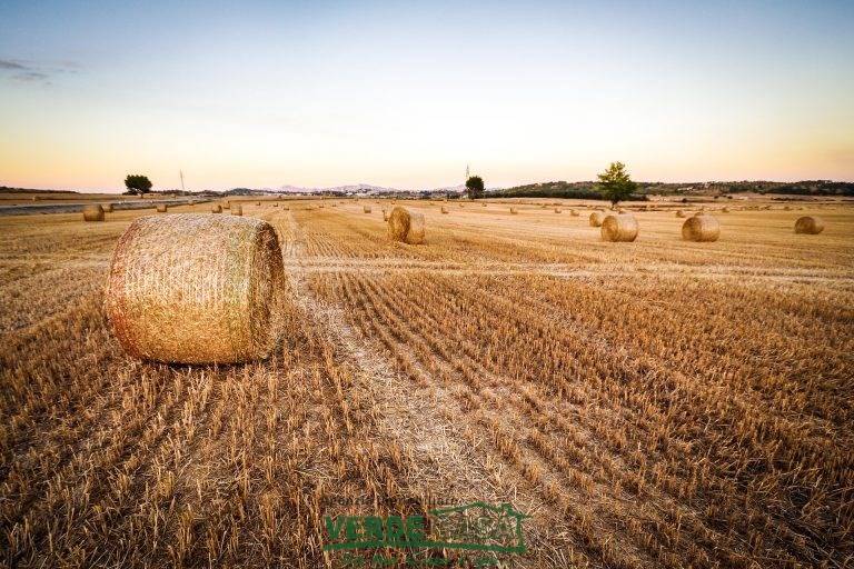 Terreno a Altivole - Foto 3