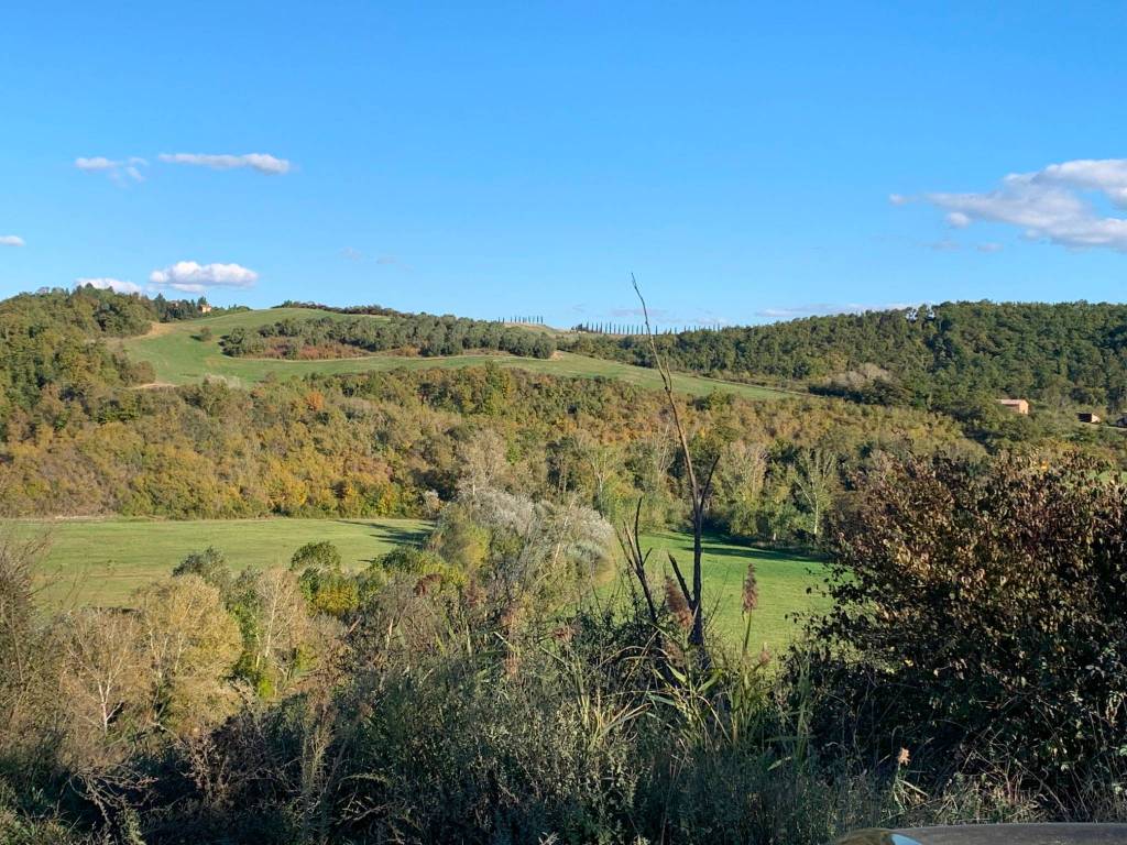 Rustico / casale a Asciano in Podere Collarcole - Foto 2