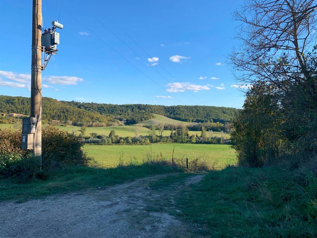 Rustico / casale a Asciano in Podere Collarcole - Foto 4