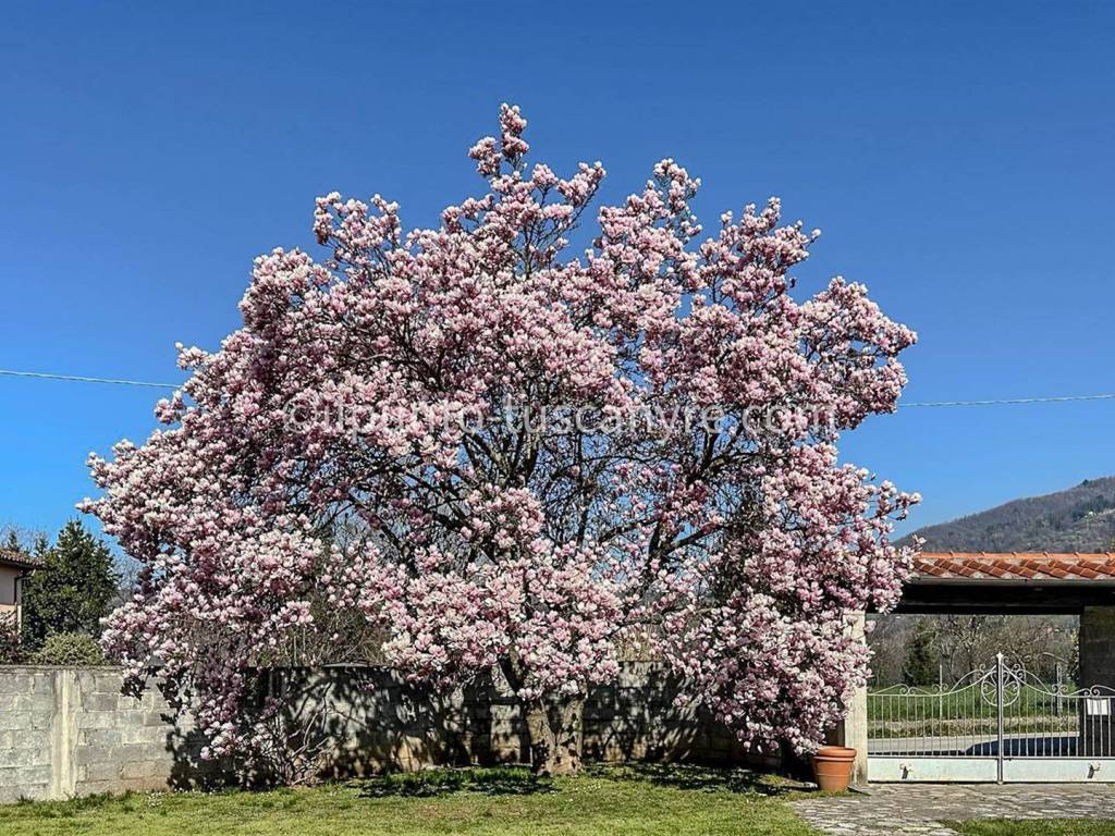 Rustico / casale a Barga in Via Roma - Foto 5