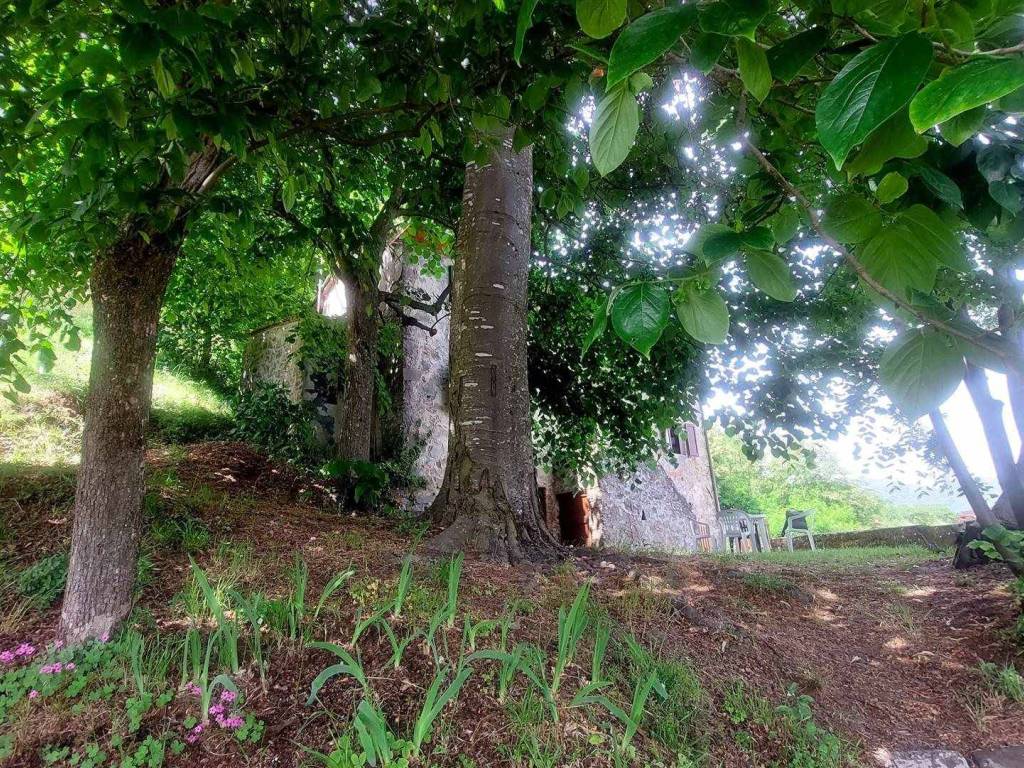 Rustico / casale a Pescaglia in Strada Provinciale 60, 1 - Foto 5