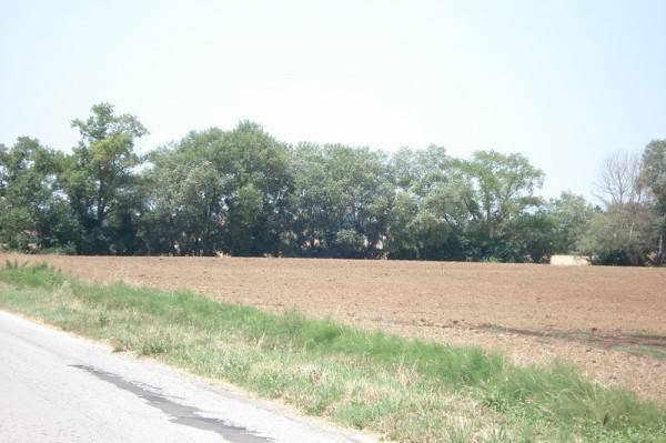 Terreno a Potenza picena - Foto 4