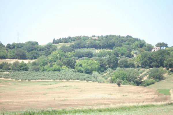 Terreno a Potenza picena - Foto 5