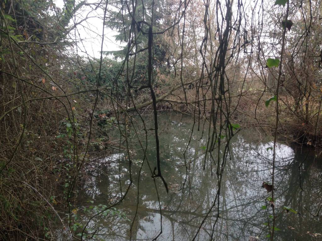 Rustico / casale a Tromello - Foto 4