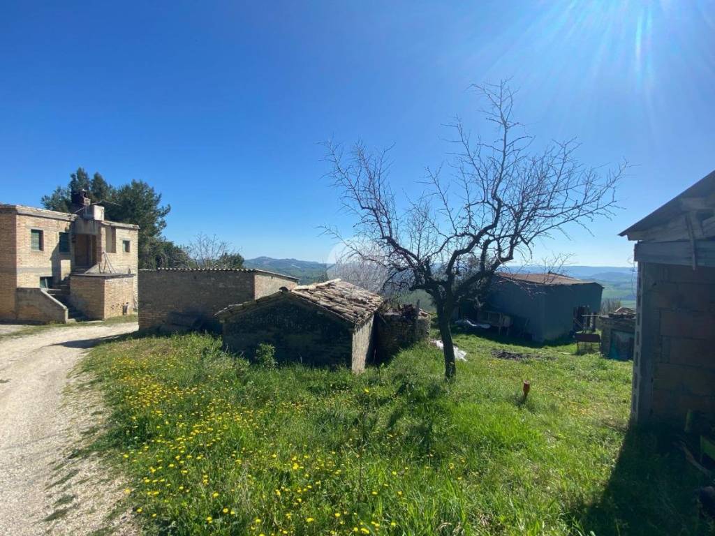 Rustico / casale a Offida in Contrada San Lazzaro, 110 - Foto 5