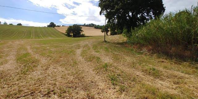 Terreno a Trecastelli - Foto 2