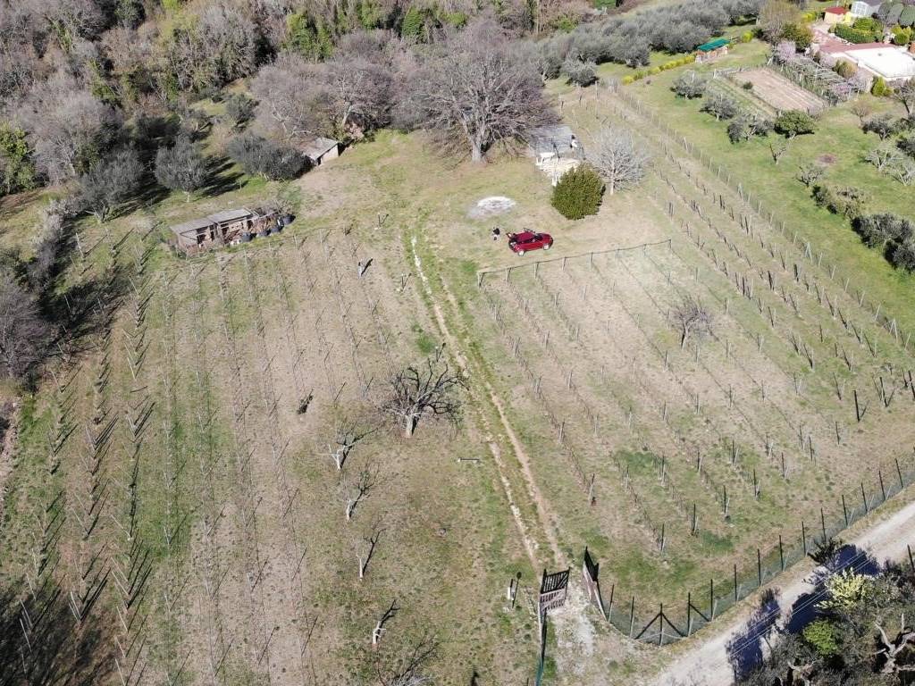 Terreno a Viterbo in Strada Gavazzano - Foto 2