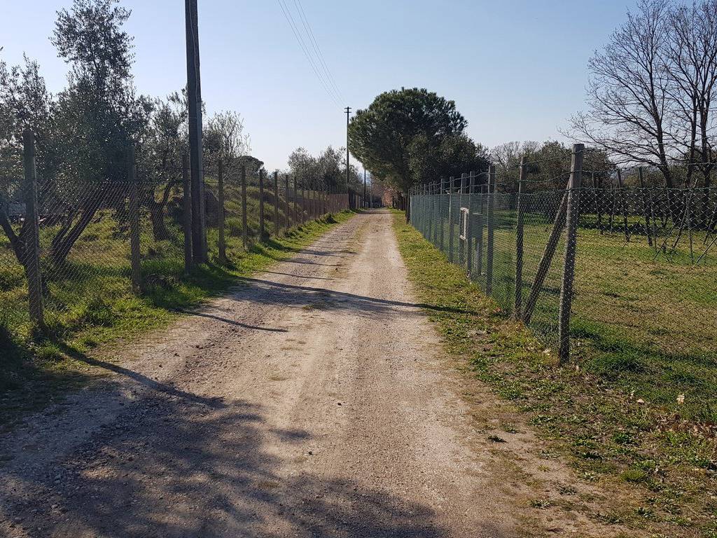 Terreno a Viterbo in Strada Gavazzano - Foto 4