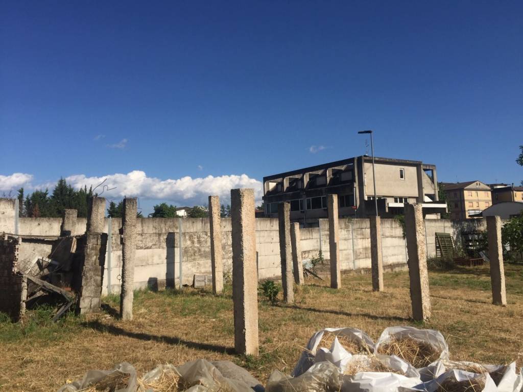 immagine di copertina