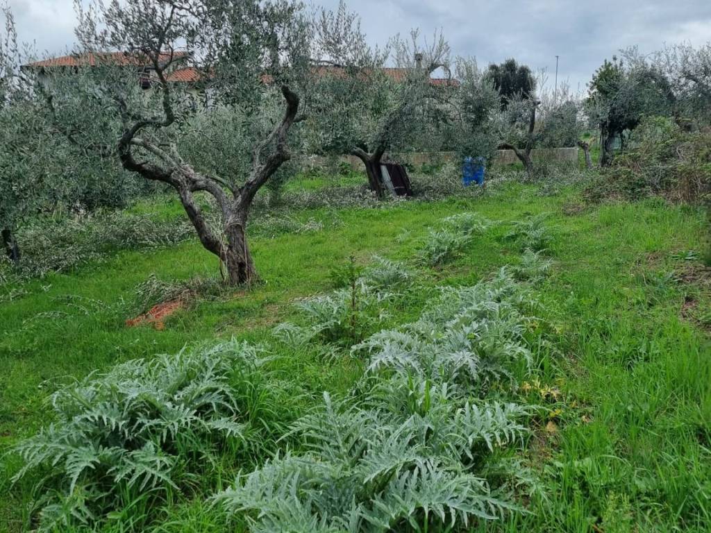 Terreno a Ancona in Via Oliviero Zuccarini - Foto 2