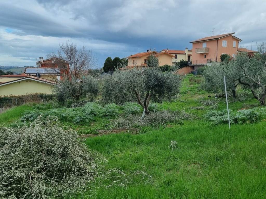 Terreno a Ancona in Via Oliviero Zuccarini - Foto 3