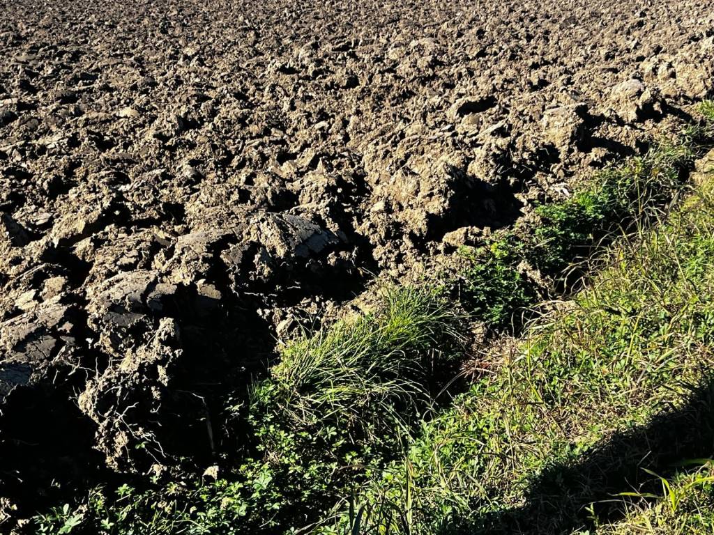 Terreno a Ceresara - Foto 2