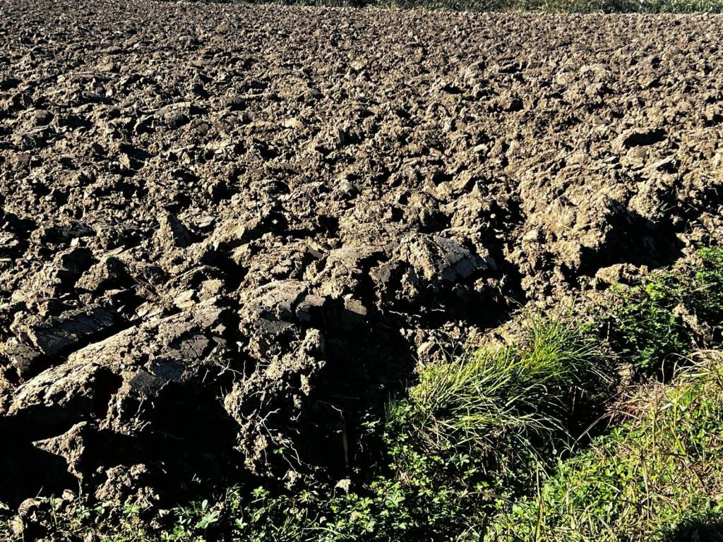 Terreno a Ceresara - Foto 3