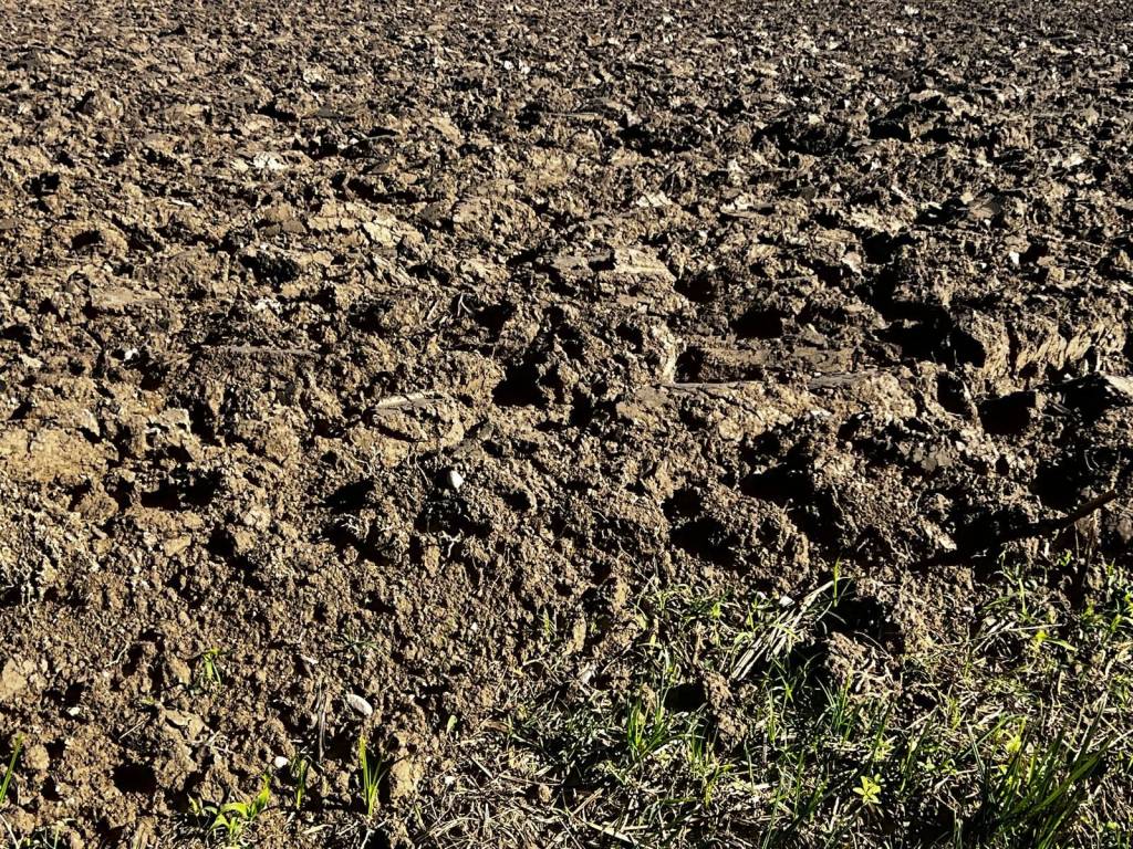 Terreno a Ceresara - Foto 4