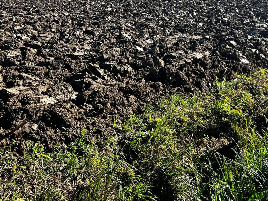 Terreno a Ceresara - Foto 5