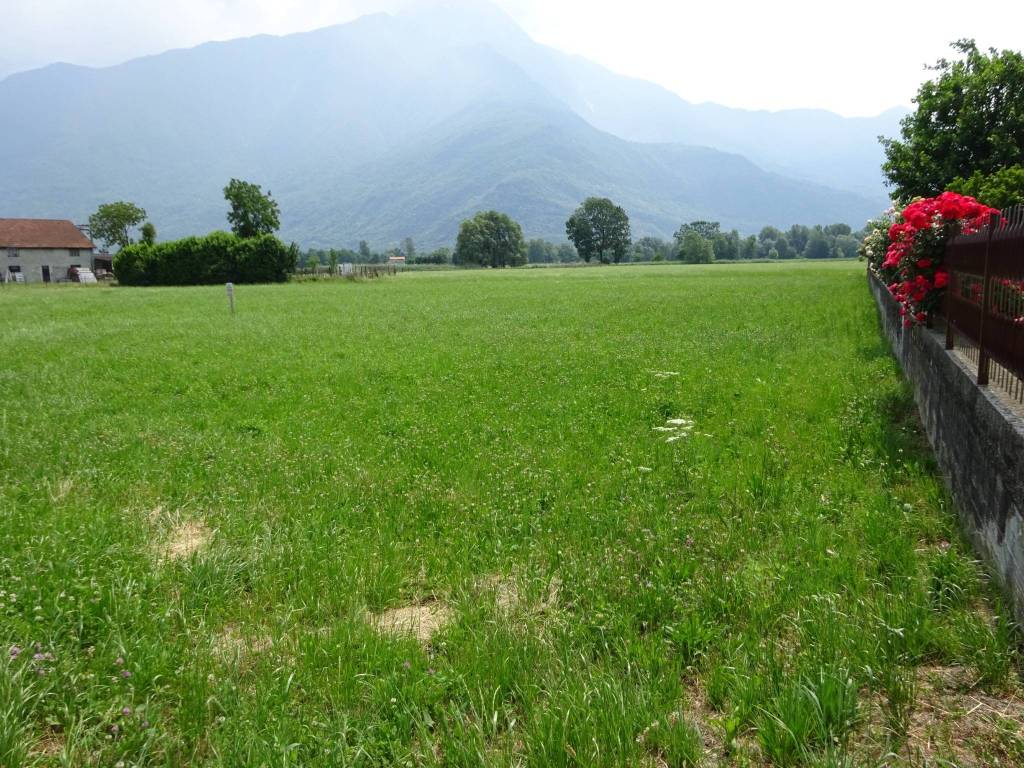 Terreno a Dubino - Foto 2