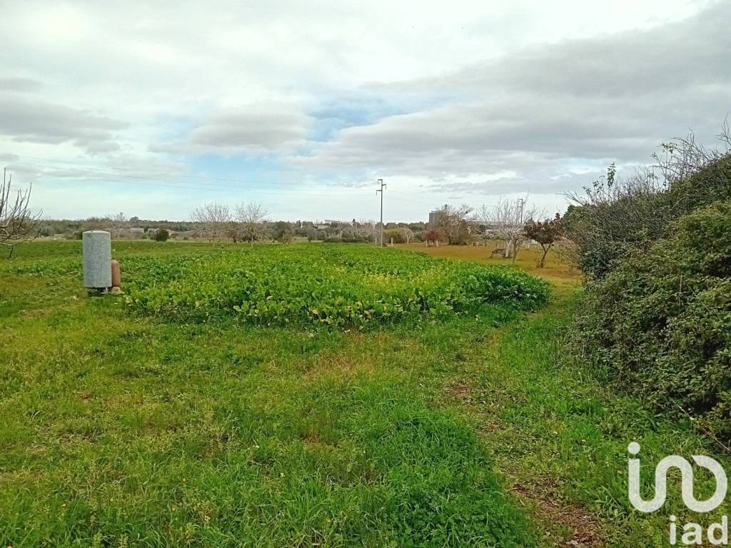 Terreno a Specchia in Strada comunale Pozzelle - Foto 4
