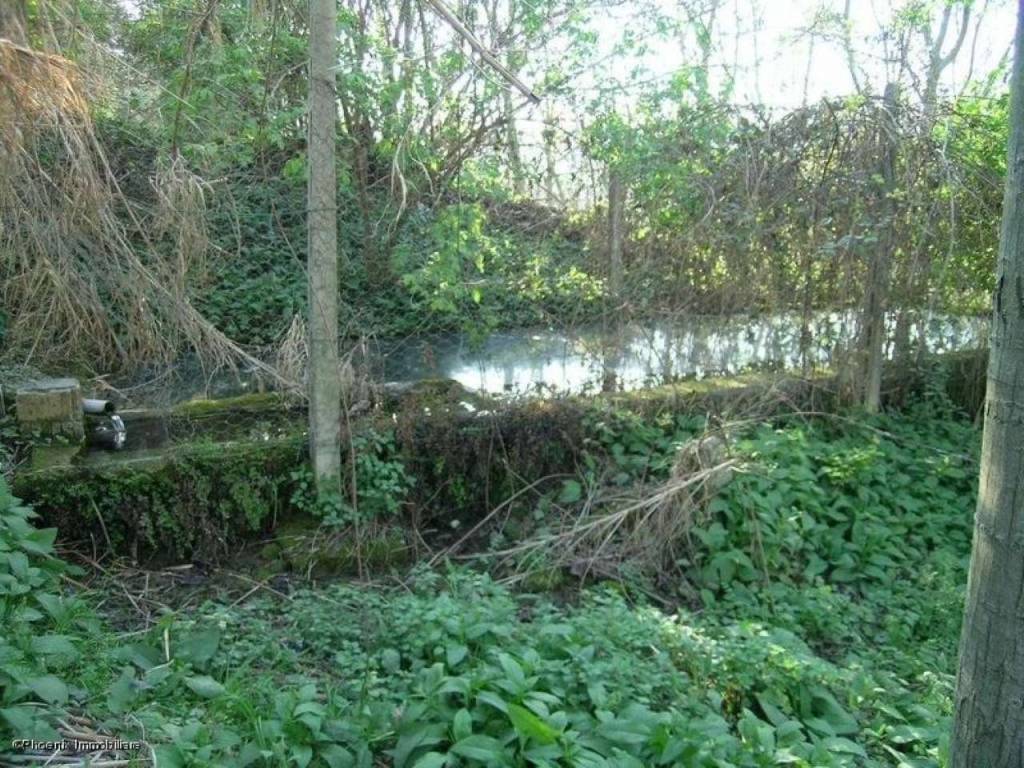 Rustico / casale a Campofilone in Contrada Montecamauro - Foto 2