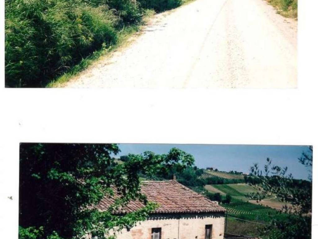Rustico / casale a Campofilone in Contrada Montecamauro - Foto 4