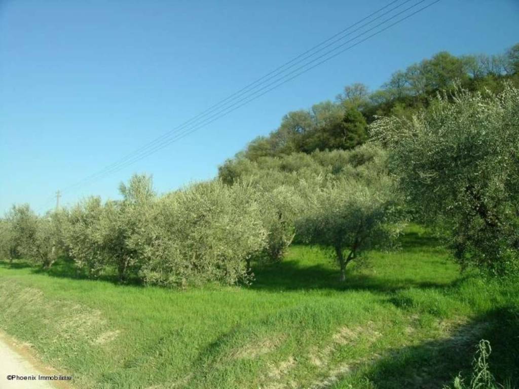 Rustico / casale a Campofilone in Contrada Montecamauro - Foto 5