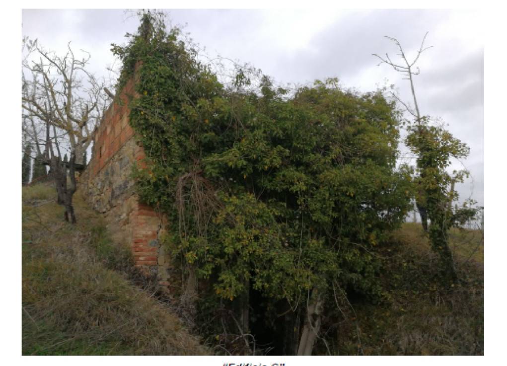 Terreno a San gimignano - Foto 3