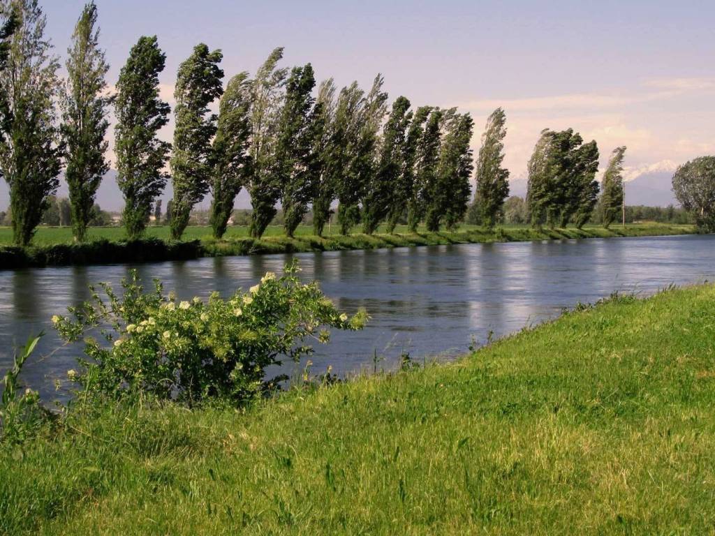 Terreno a Pandino in Via Milano - Foto 4
