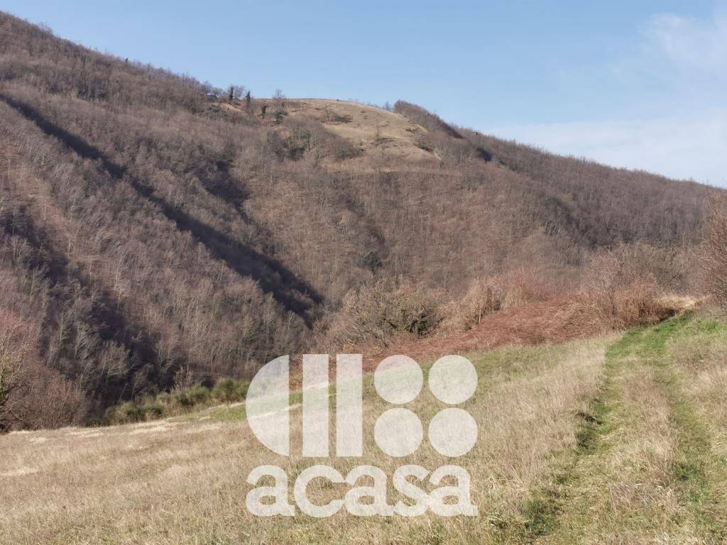 Terreno a Sant'agata feltria - Foto 2