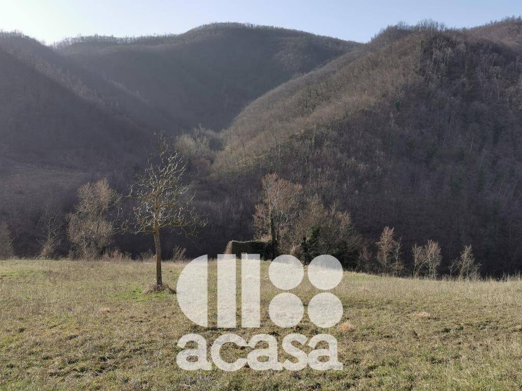 Terreno a Sant'agata feltria - Foto 4