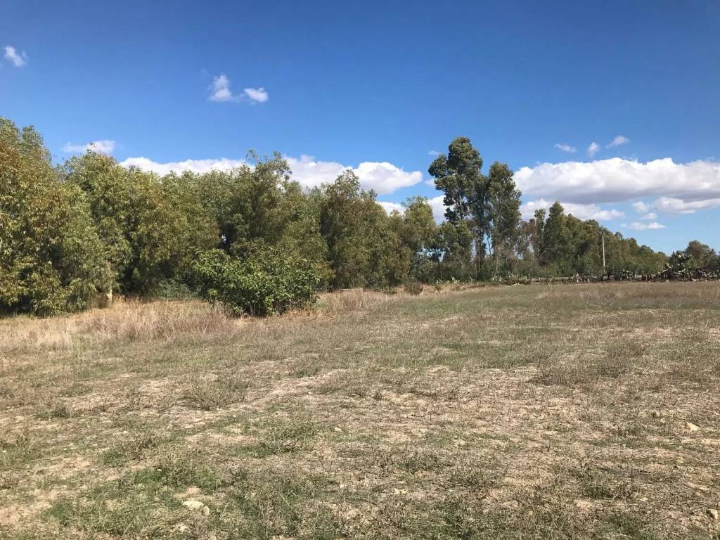 Terreno a Serramanna in Loc. Murta Niedda S.N.C. - Foto 4