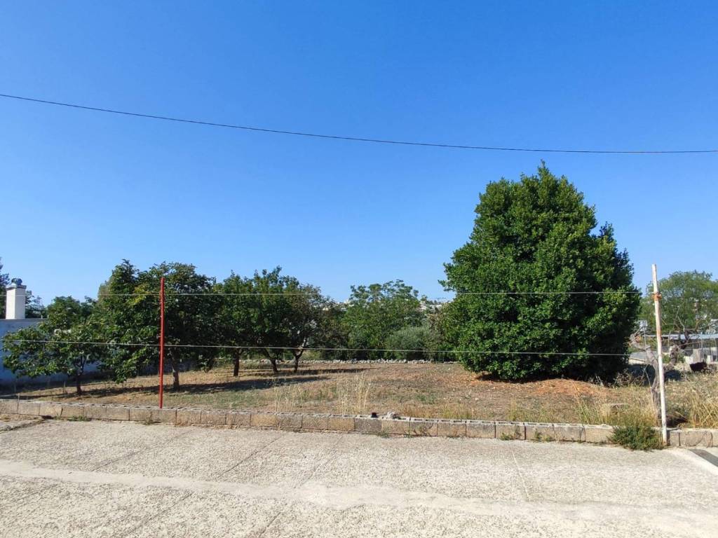 Rustico / casale a Locorotondo in Contrada Seicaselle - Foto 2