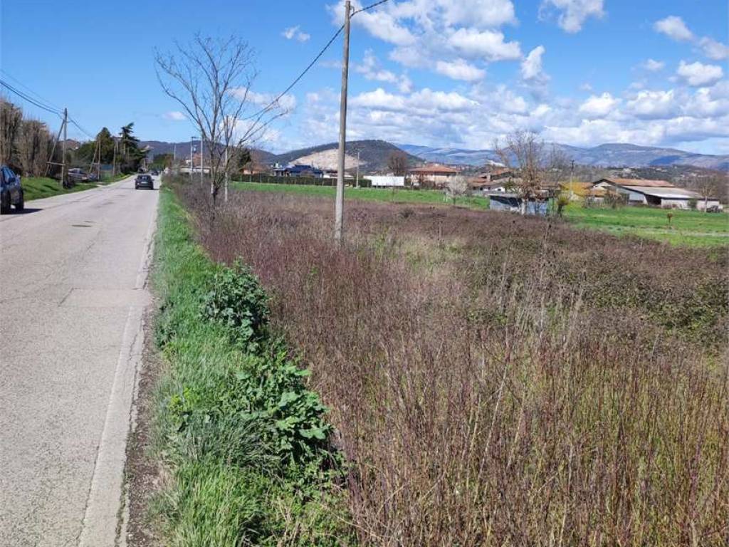 Terreno a Morolo in VIA MOROLENSE - Foto 5