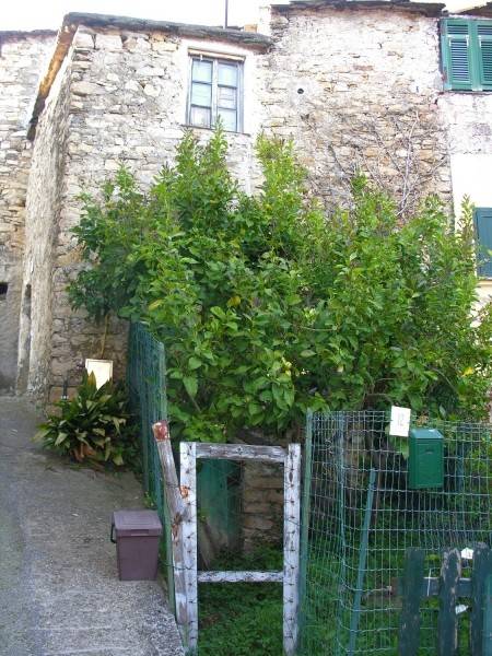 Rustico / casale a Villa faraldi in via garibaldi - Foto 3