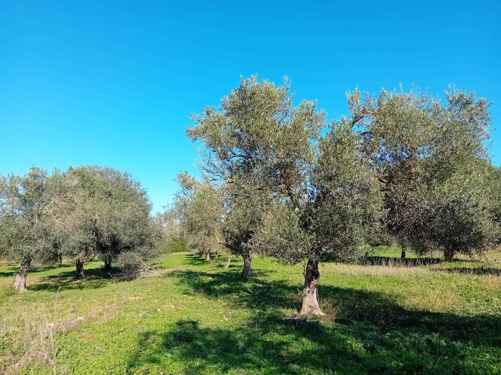 Terreno a Sassari in Via Macomer - Foto 2