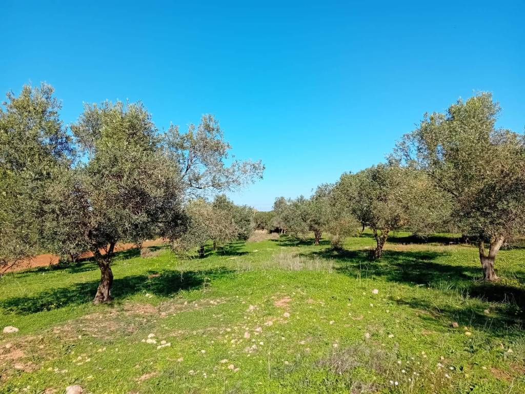 Terreno a Sassari in Via Macomer - Foto 3