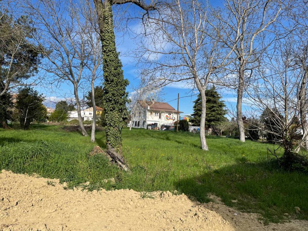 Terreno a Cepagatti in Via Elsa Morante - Foto 2