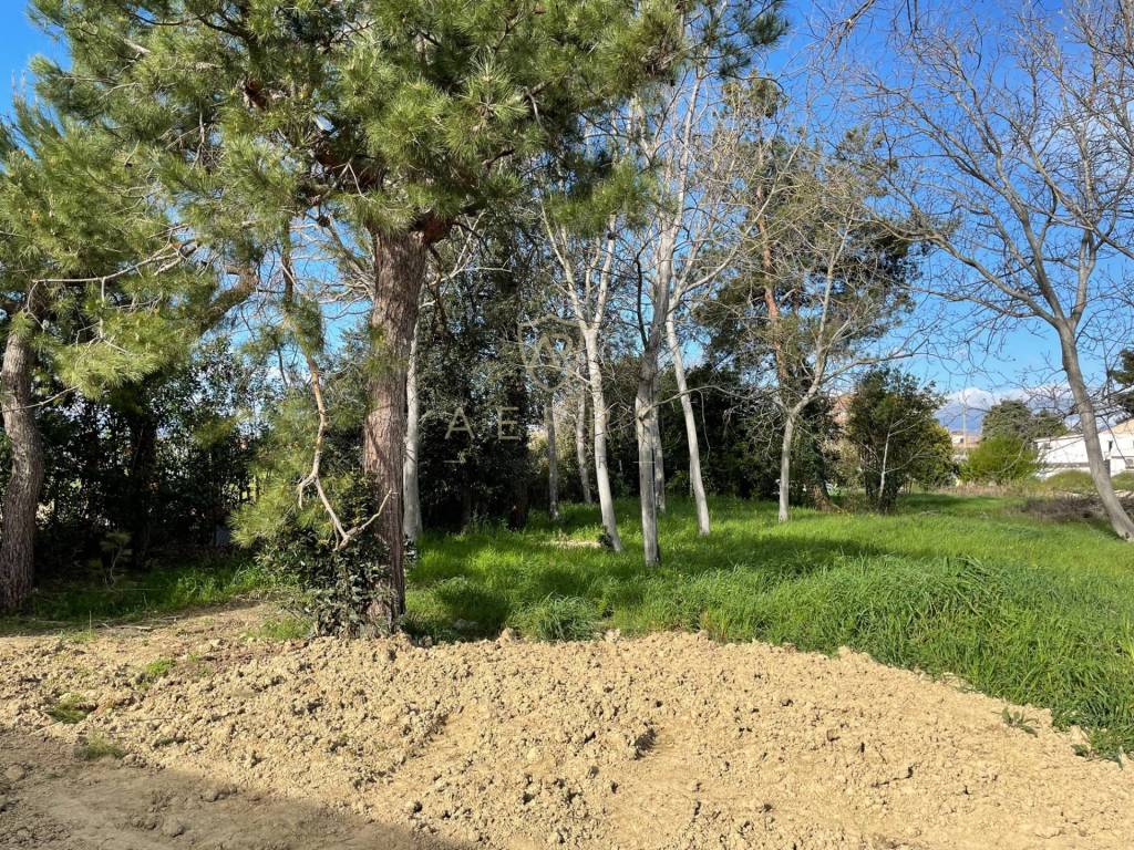 Terreno a Cepagatti in Via Elsa Morante - Foto 3