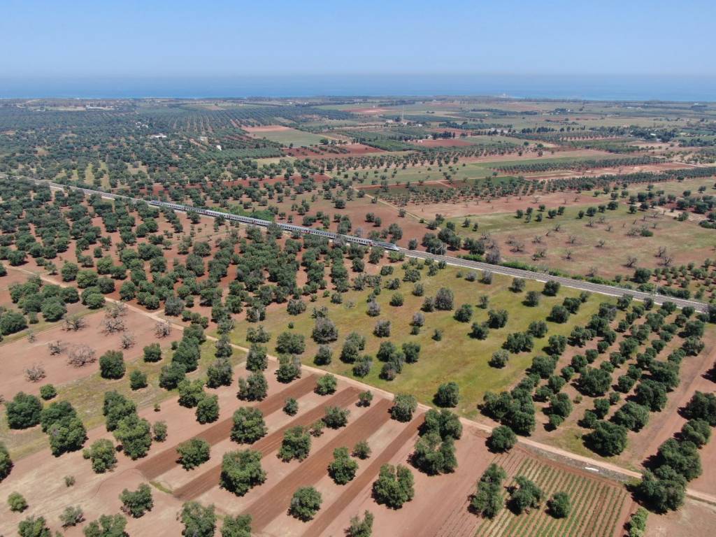 Terreno a Carovigno in Strada Comunale N. 2 - Foto 2