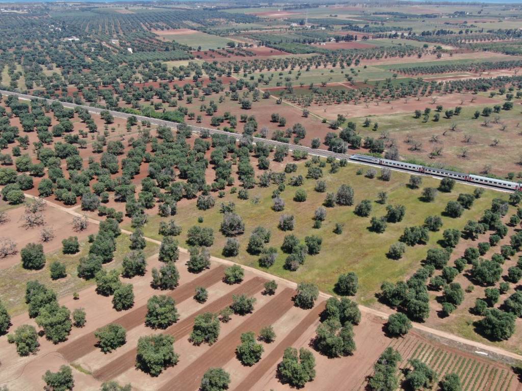 Terreno a Carovigno in Strada Comunale N. 2 - Foto 3