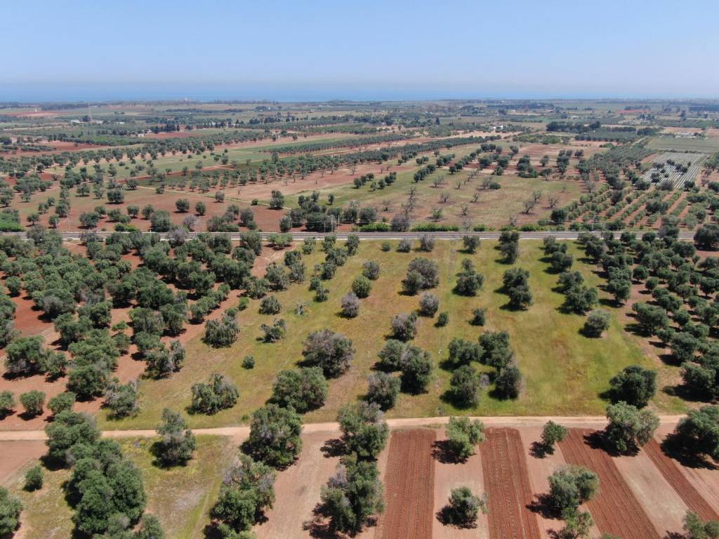 Terreno a Carovigno in Strada Comunale N. 2 - Foto 5