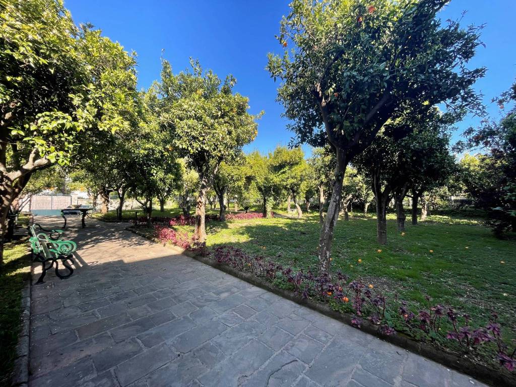 Villa a Piano di sorrento - Foto 3