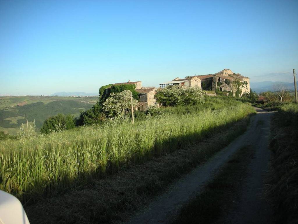 Palazzo / stabile a Pago veiano in Contrada Terraloggia - Foto 2