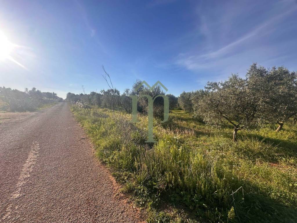 Rustico / casale a Carovigno in SP32 - Foto 2