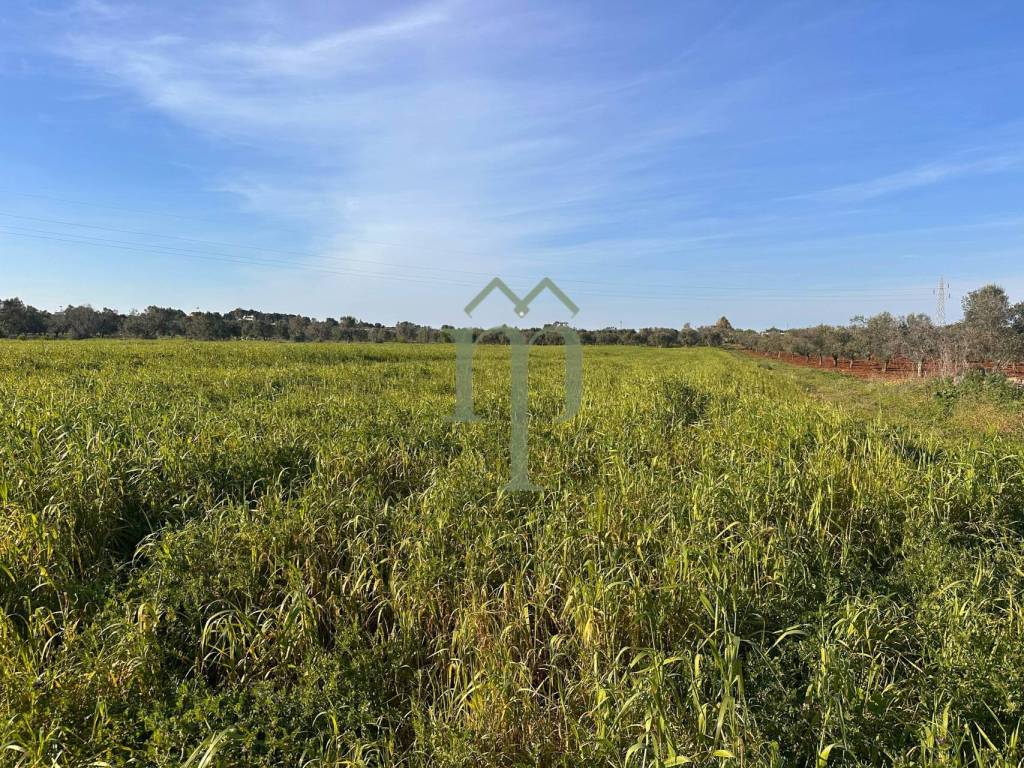 Rustico / casale a Carovigno in SP32 - Foto 5