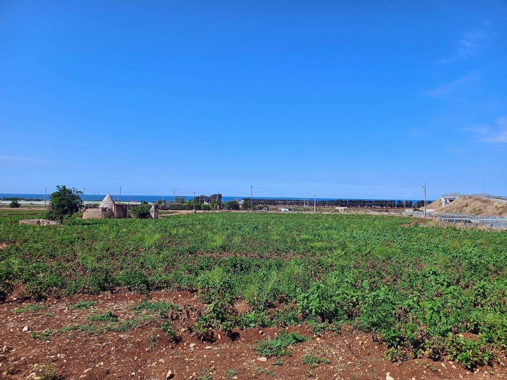 Rustico / casale a Polignano a mare in Contrada Le Macchie - Foto 2