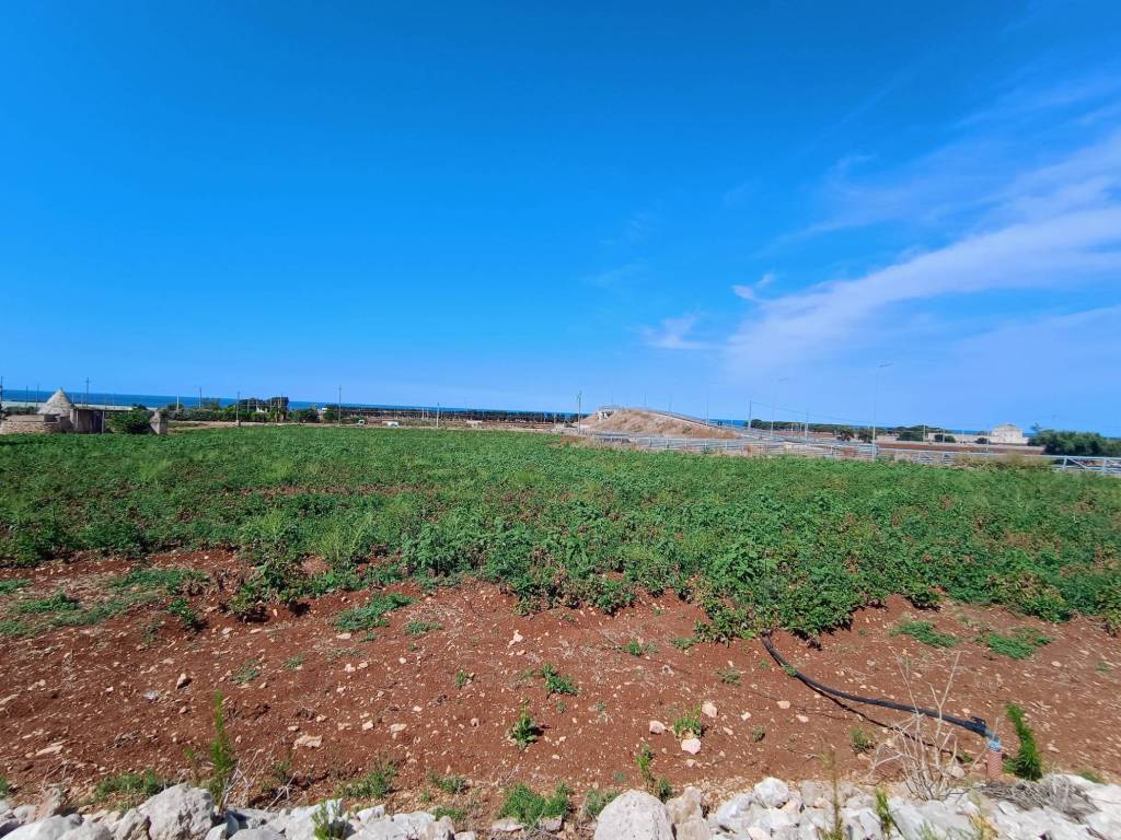 Rustico / casale a Polignano a mare in Contrada Le Macchie - Foto 3