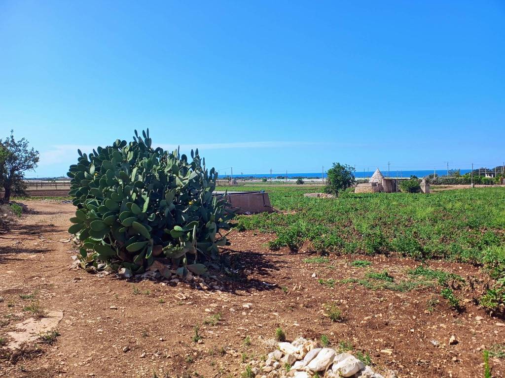 Rustico / casale a Polignano a mare in Contrada Le Macchie - Foto 4