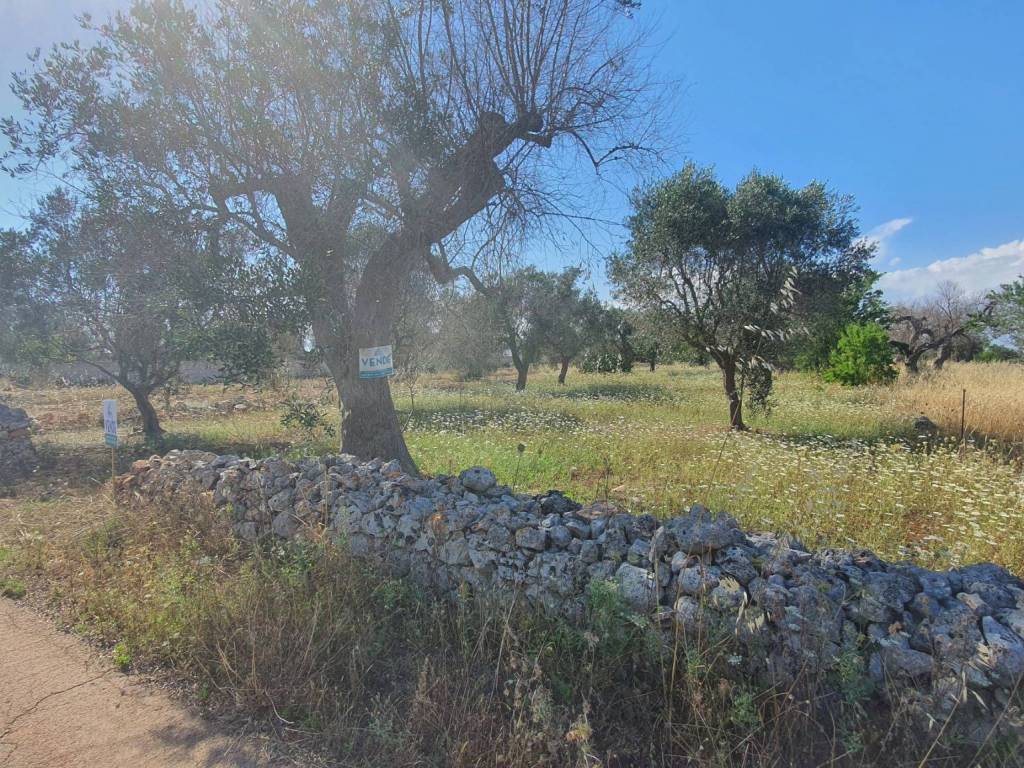 Terreno a Galatone in Contrada Coppola - Foto 2
