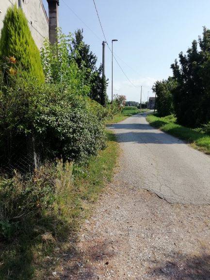 Villa a Arquà polesine in Via Bassa Ca' Marchese - Foto 5